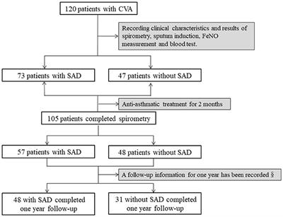 Small Airway Dysfunction in Cough Variant Asthma: Prevalence, Clinical, and Pathophysiological Features